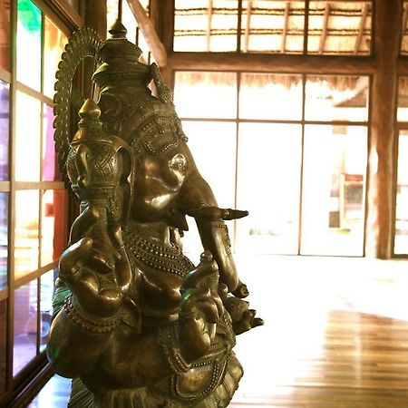 Las Ranitas Eco Boutique Hotel トゥルム エクステリア 写真