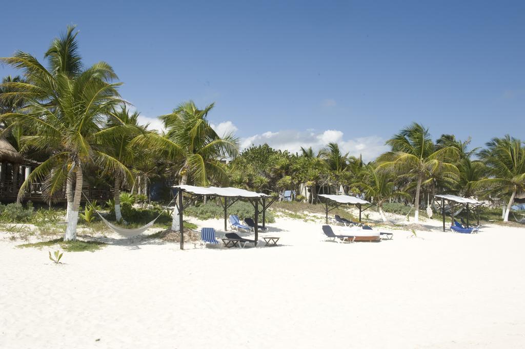 Las Ranitas Eco Boutique Hotel トゥルム 部屋 写真